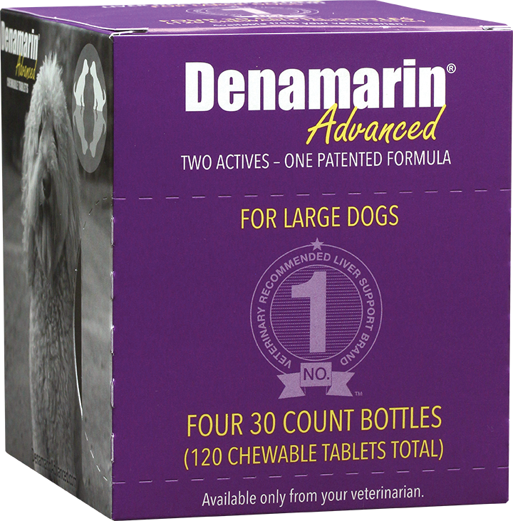 Liver Archives New England Animal Health Solutions